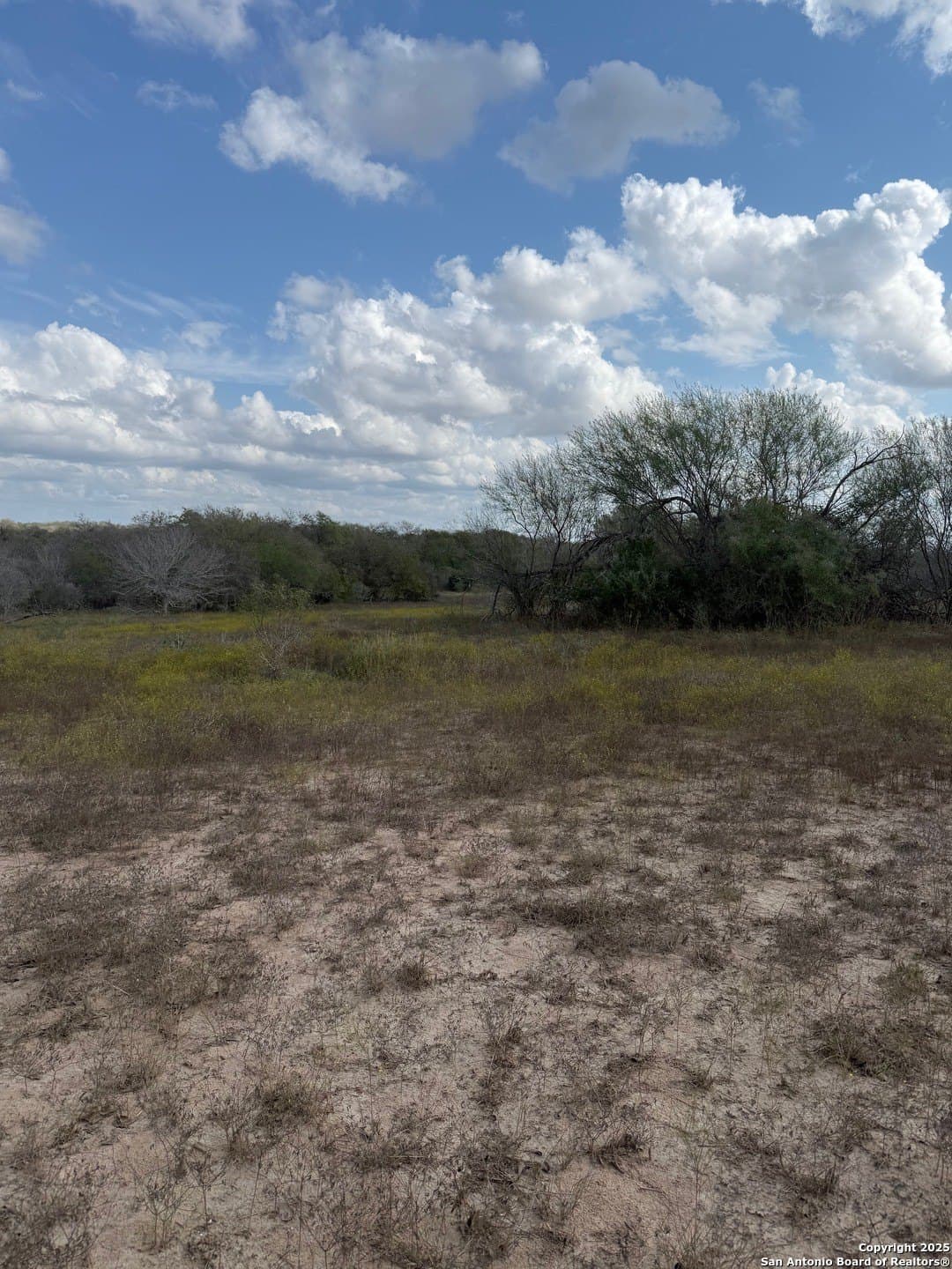 108.19 acres in De Witt County - photo 5