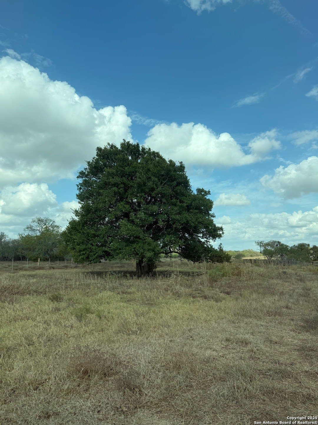 108.19 acres in De Witt County - photo 15