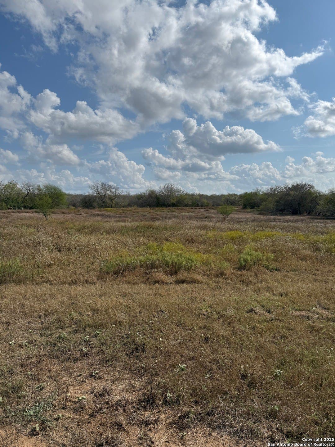 108.19 acres in De Witt County - photo 6