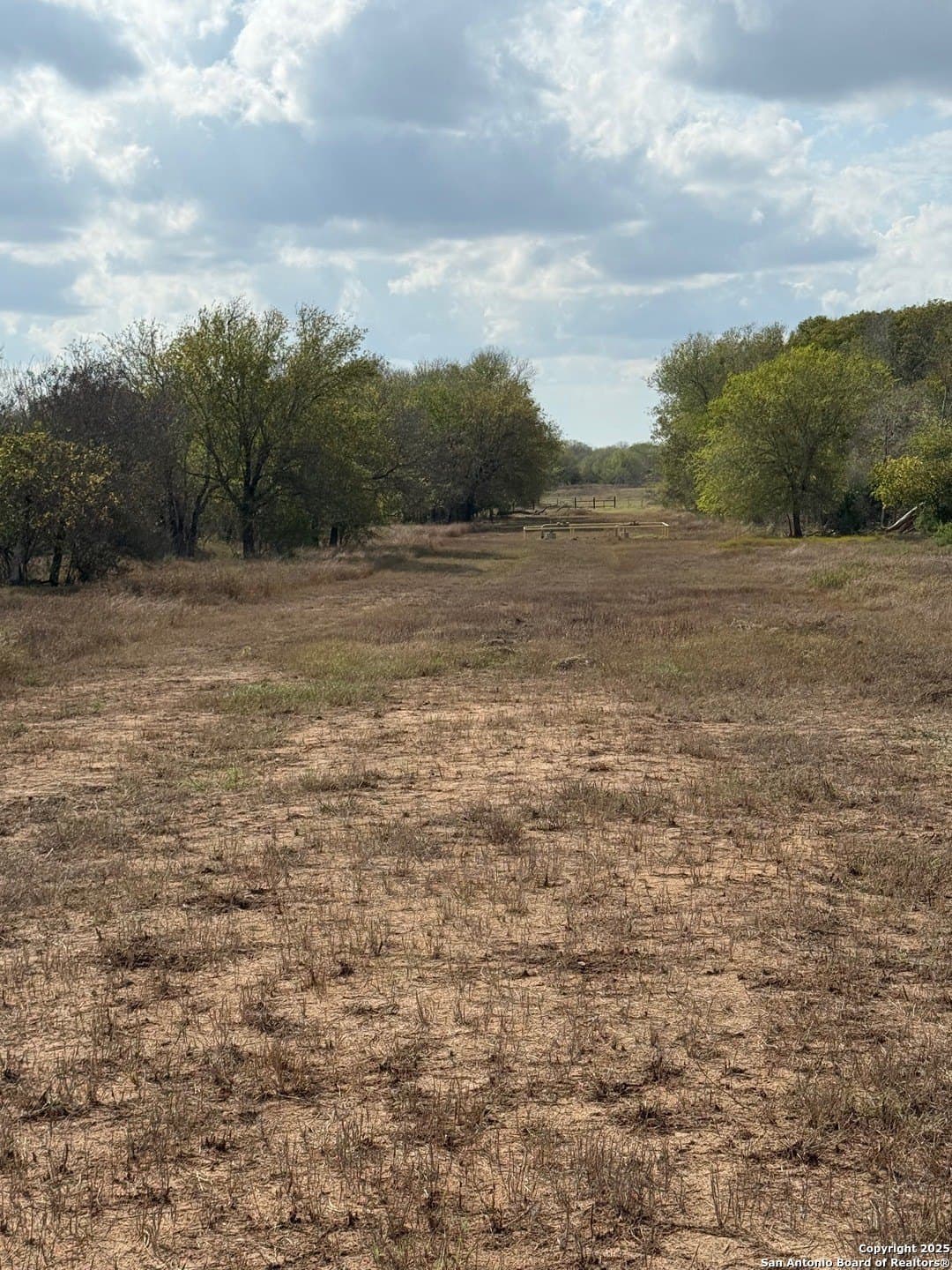 108.19 acres in De Witt County - photo 7