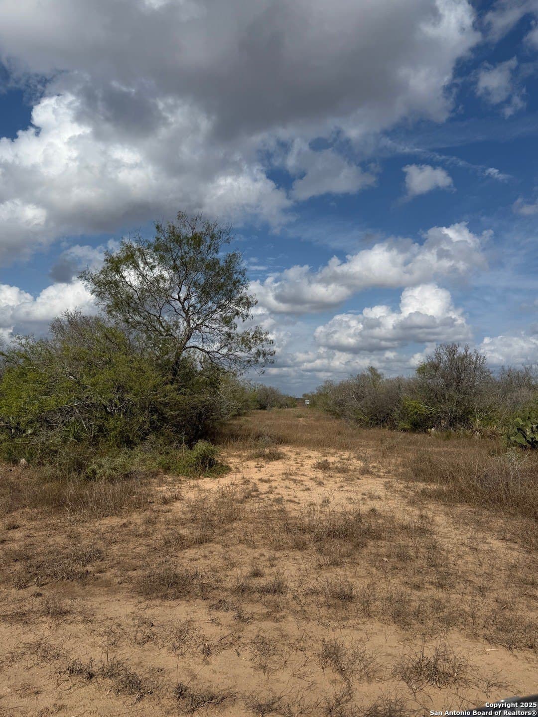 108.19 acres in De Witt County - photo 14