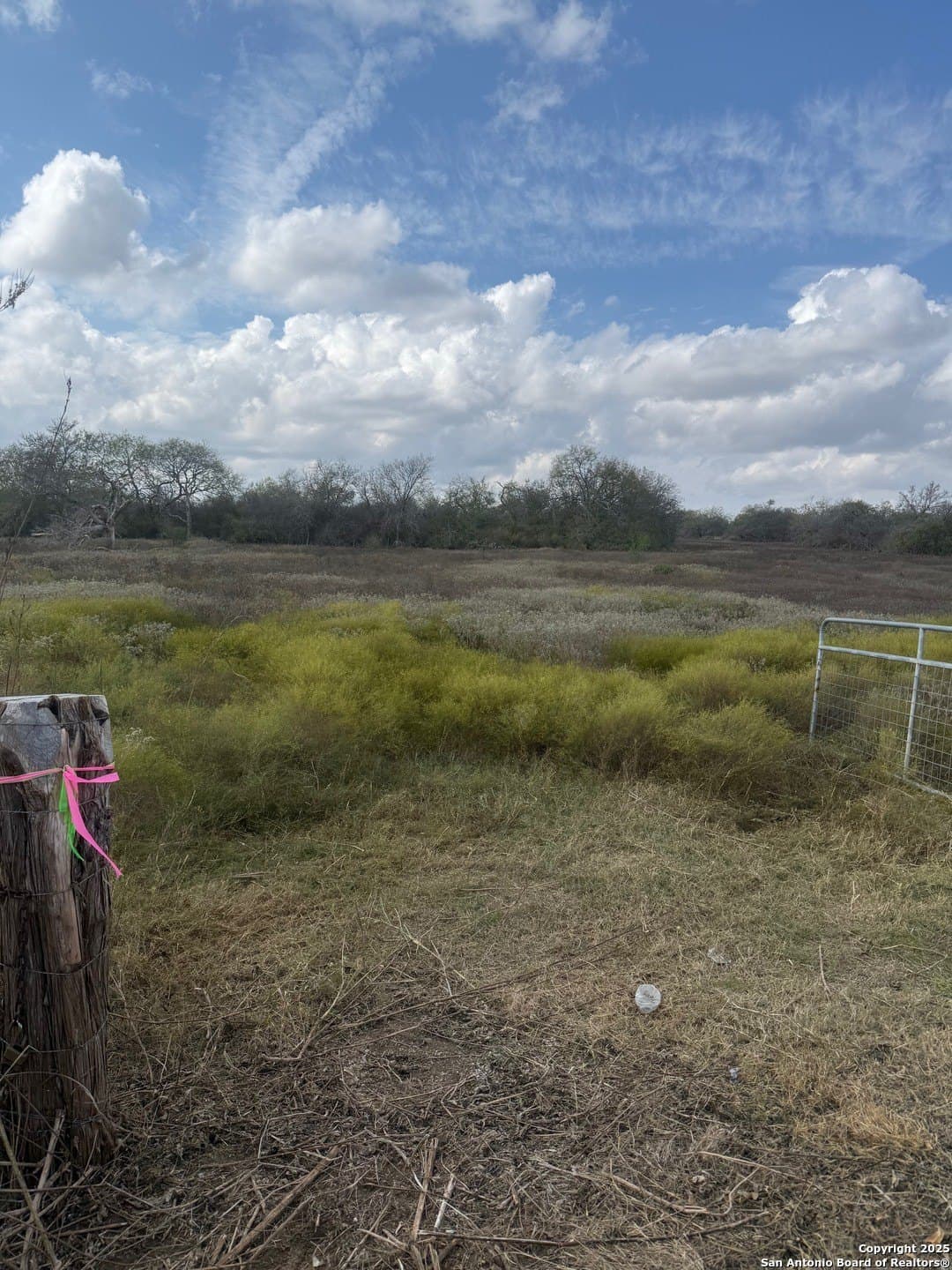 108.19 acres in De Witt County - photo 2