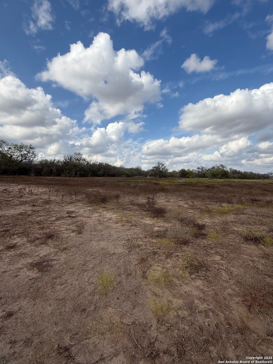 108.19 acres in De Witt County - photo 19