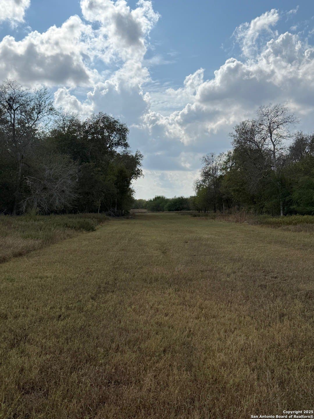 108.19 acres in De Witt County - photo 12