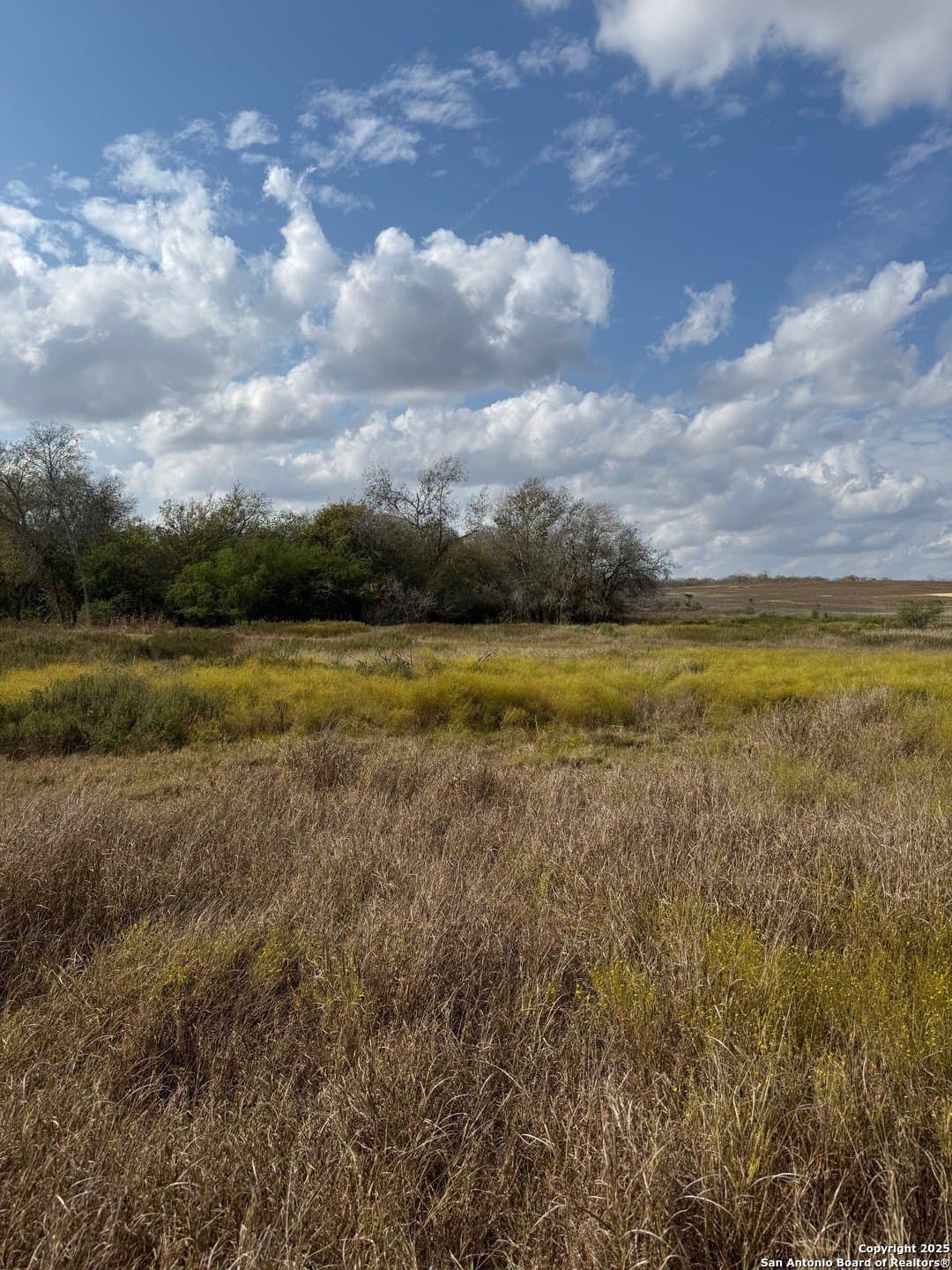 108.19 acres in De Witt County - photo 9