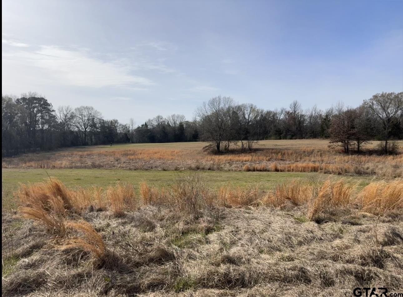 7.5 acres in Titus County - photo 6