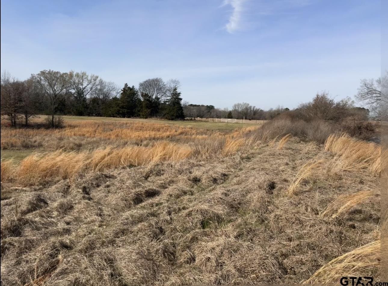 7.5 acres in Titus County - photo 5