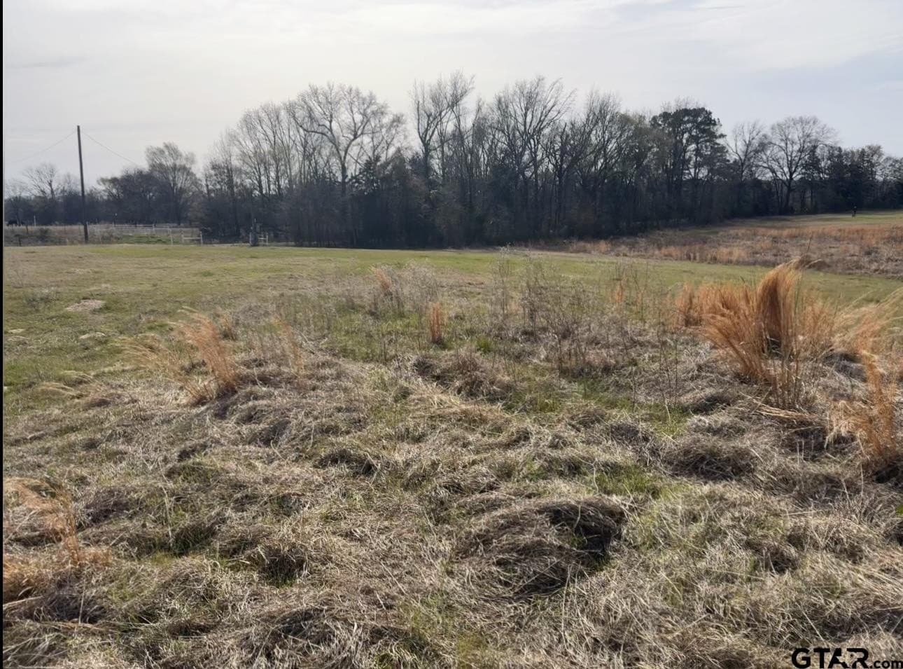 7.5 acres in Titus County - photo 7