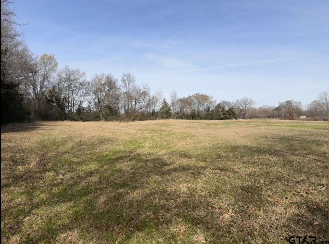 7.5 acres in Titus County - photo 4