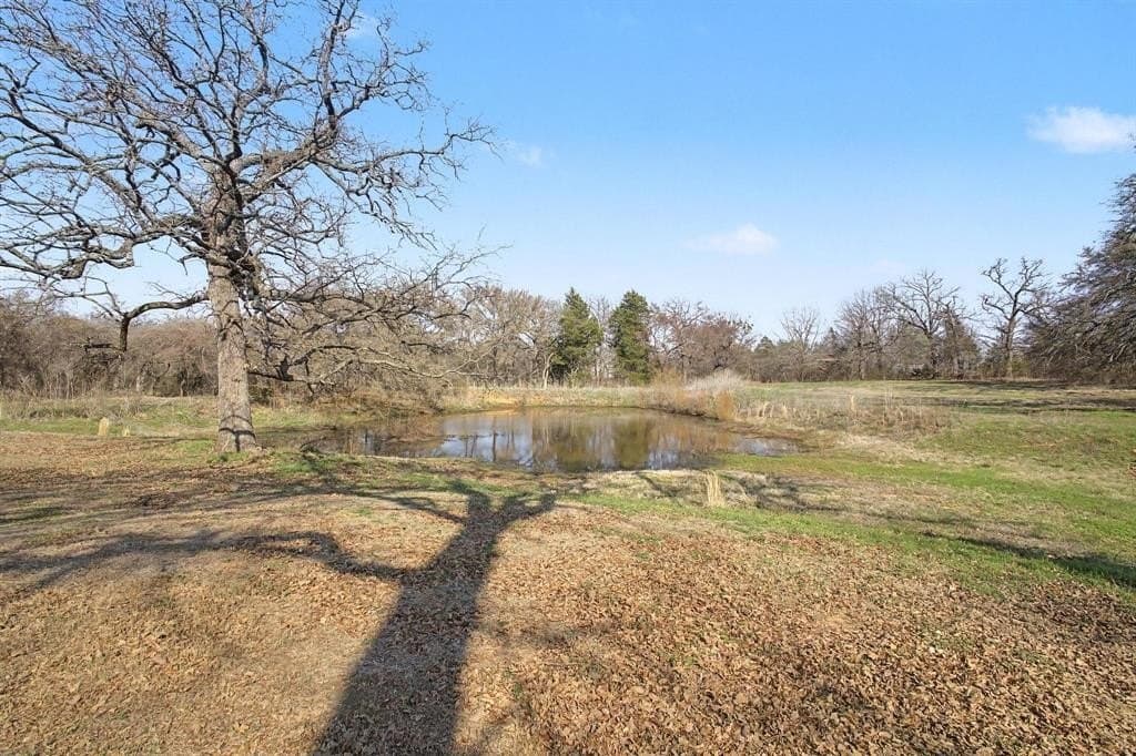 16.12 acres in Grayson County - photo 4