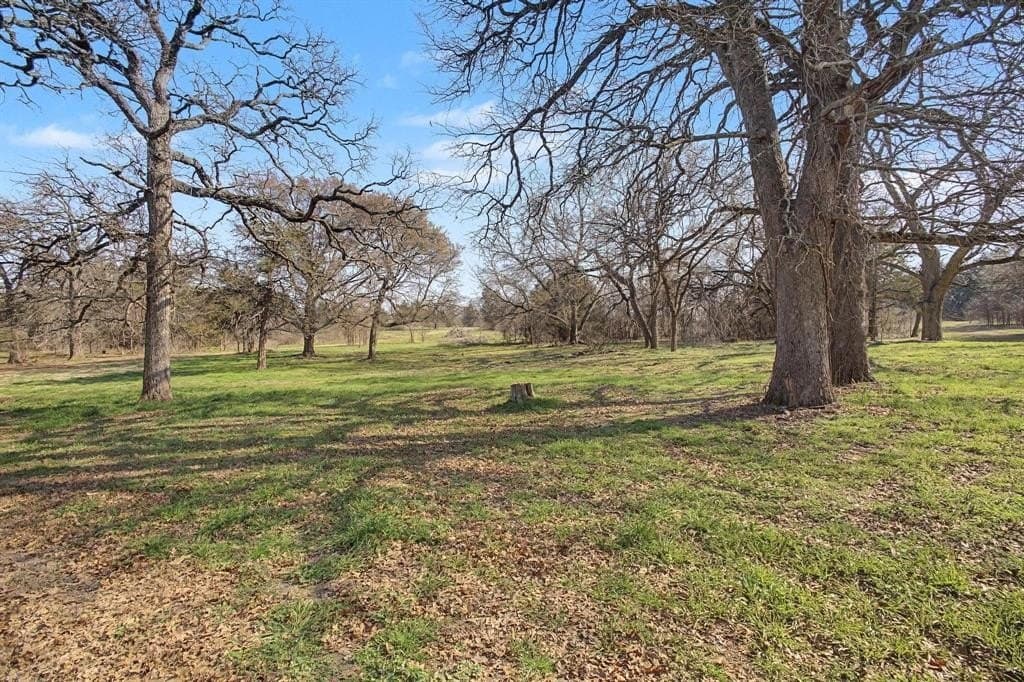 16.12 acres in Grayson County - photo 32