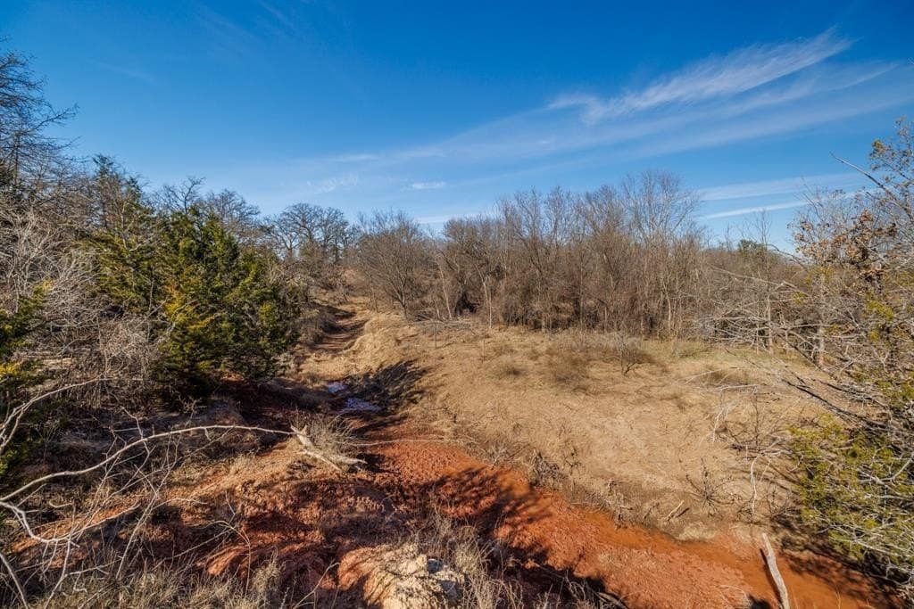 137.27 acres in Callahan County - photo 22