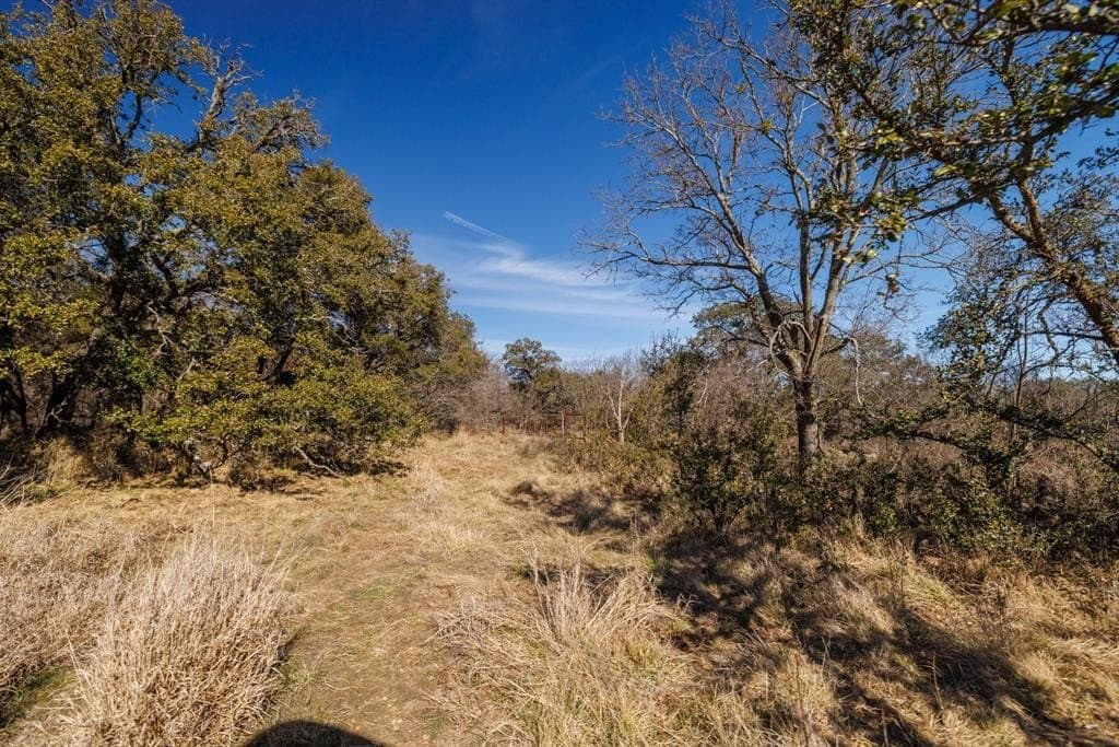 137.27 acres in Callahan County - photo 24