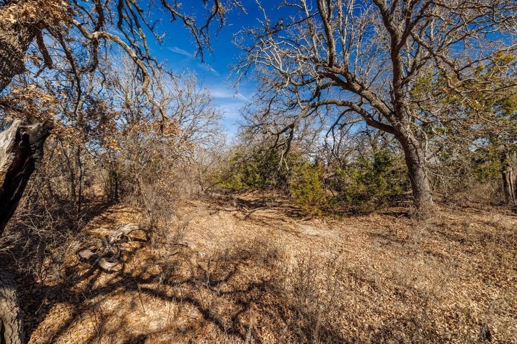 137.27 acres in Callahan County - photo 19