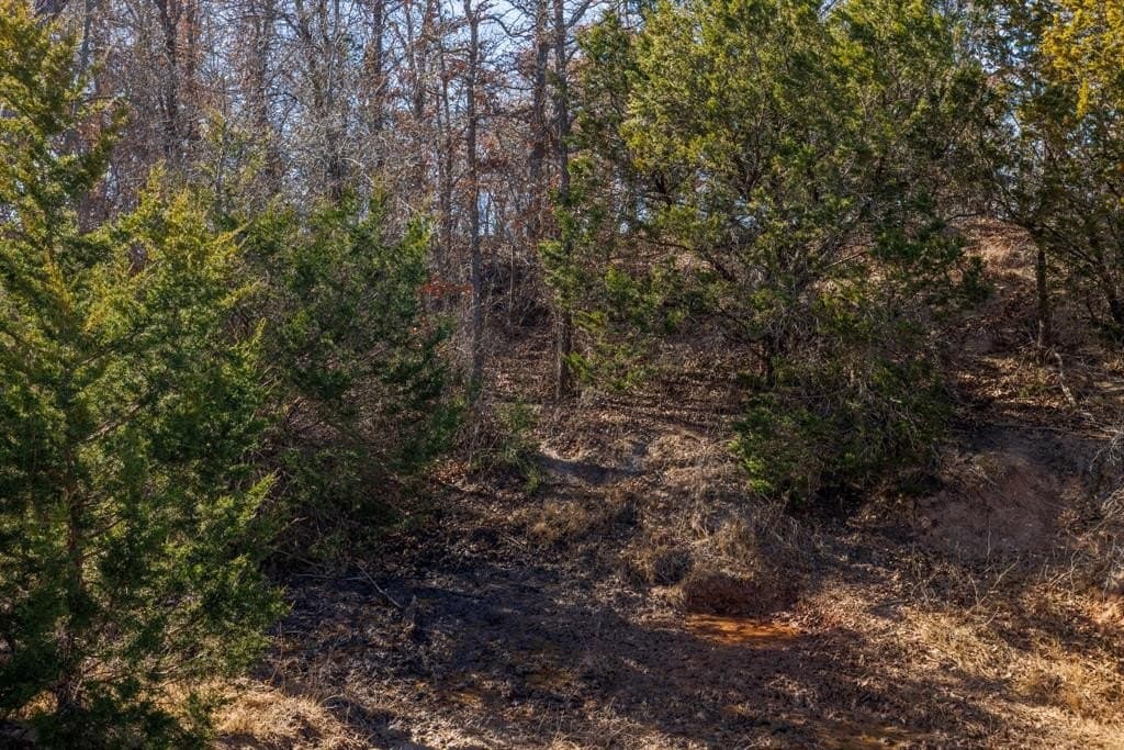 137.27 acres in Callahan County - photo 21