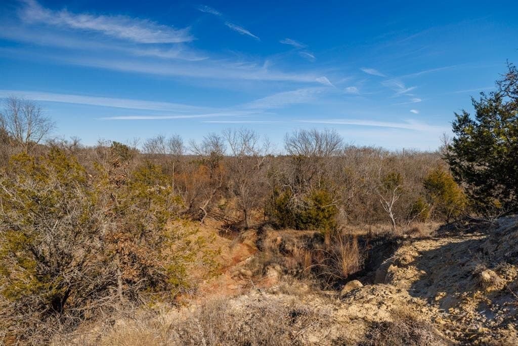 137.27 acres in Callahan County - photo 23