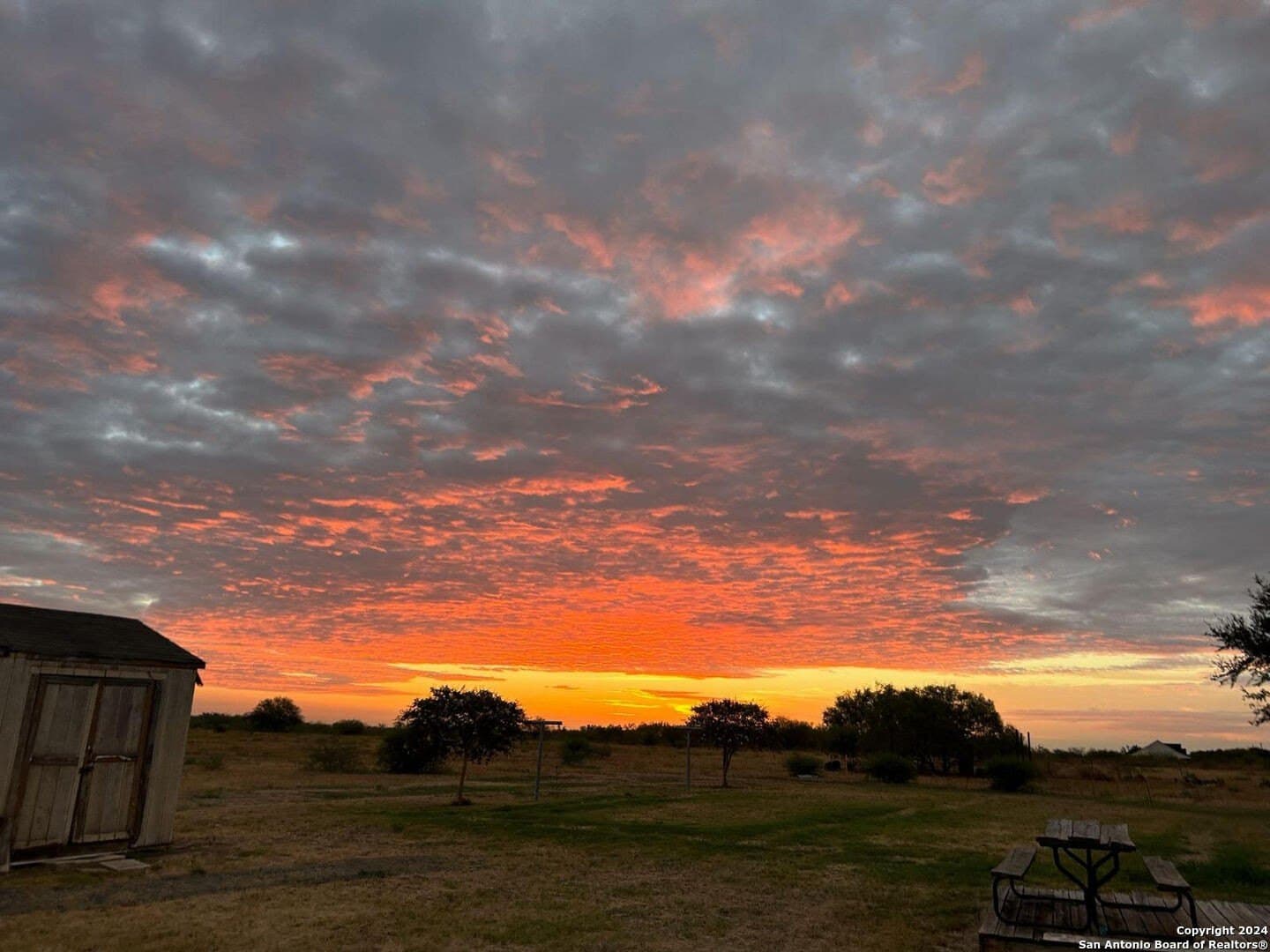 7 acres in Bexar County - photo 10