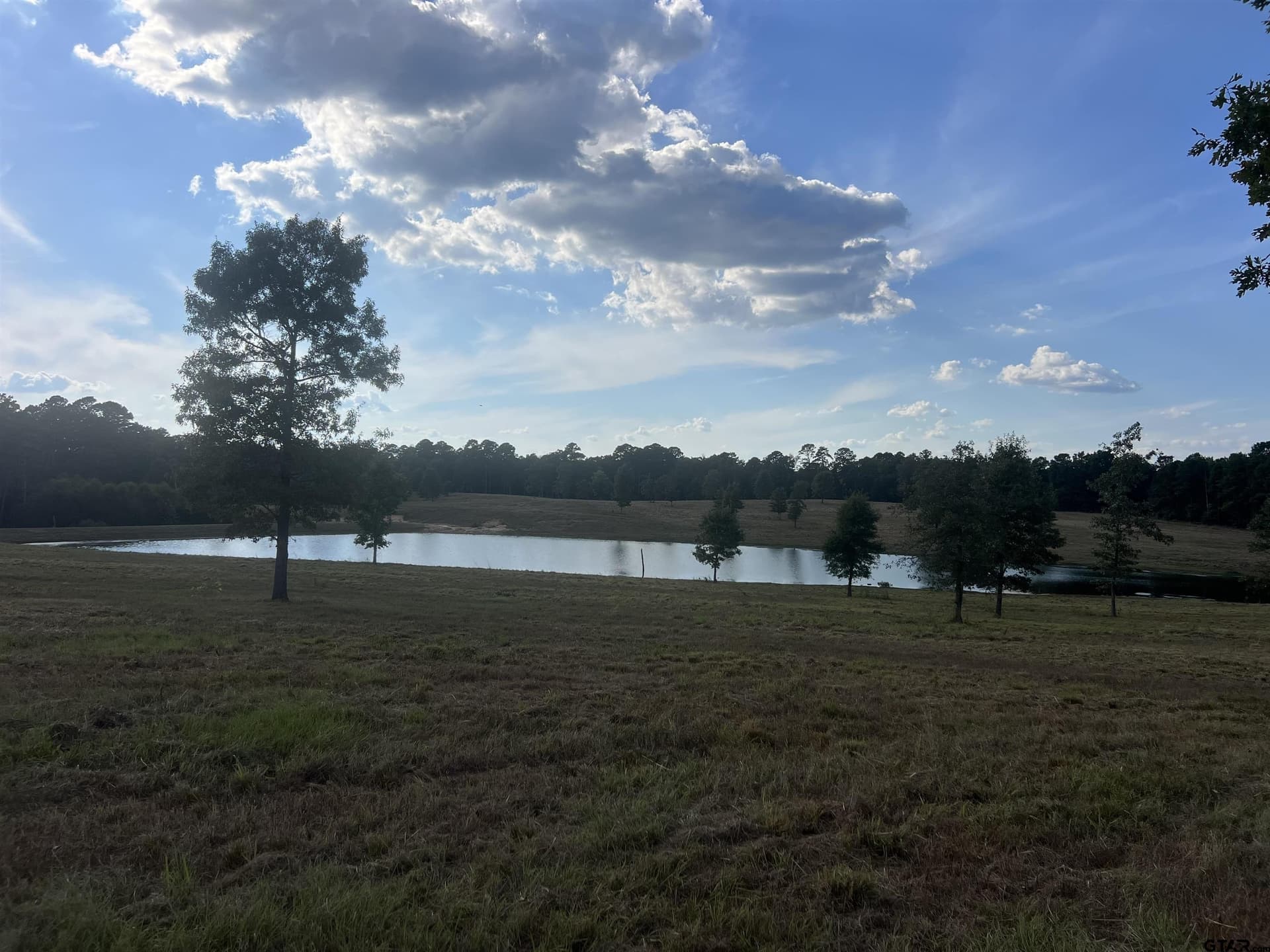 36.69 acres in Marion County - photo 6
