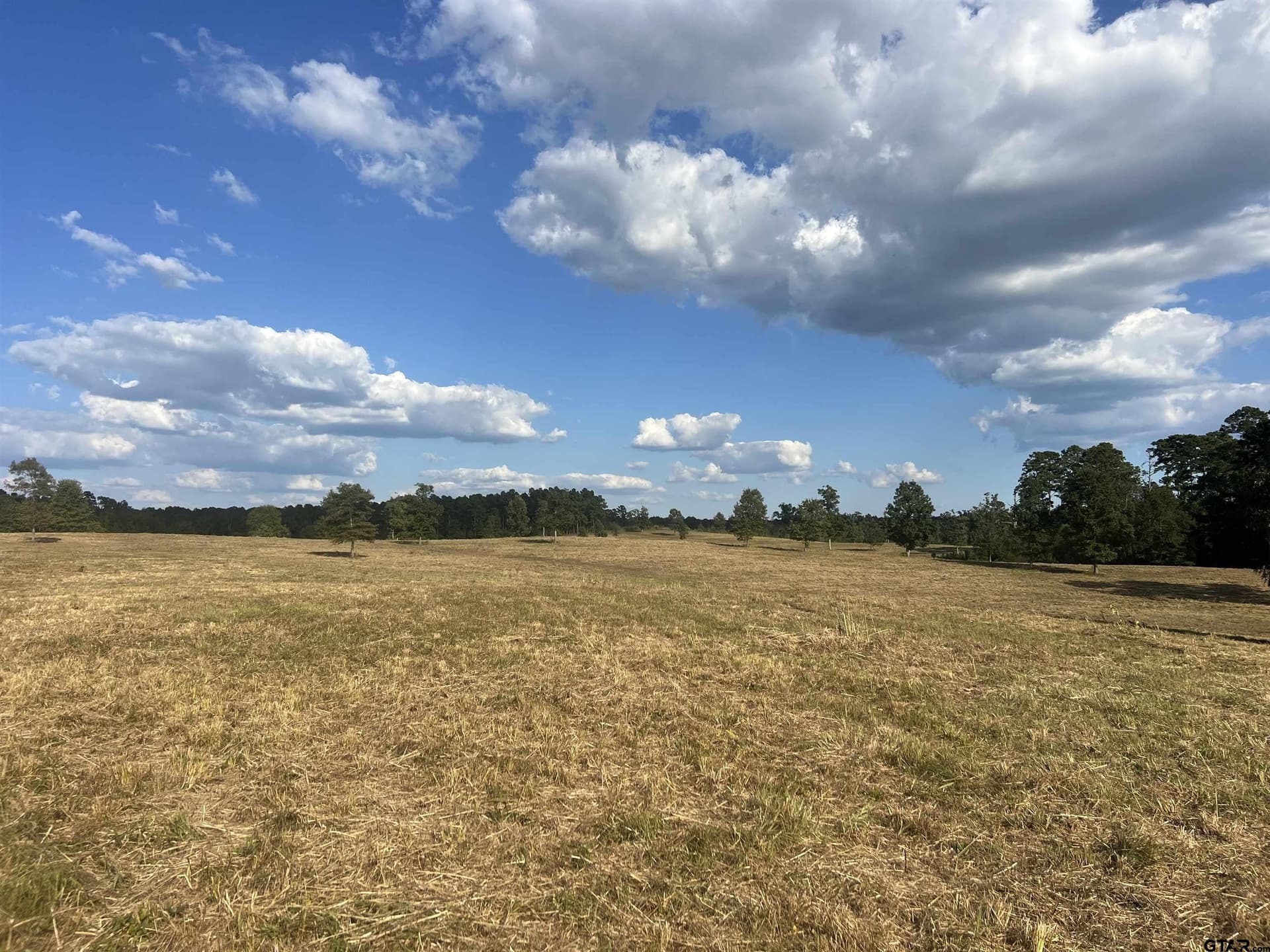 36.69 acres in Marion County - photo 5