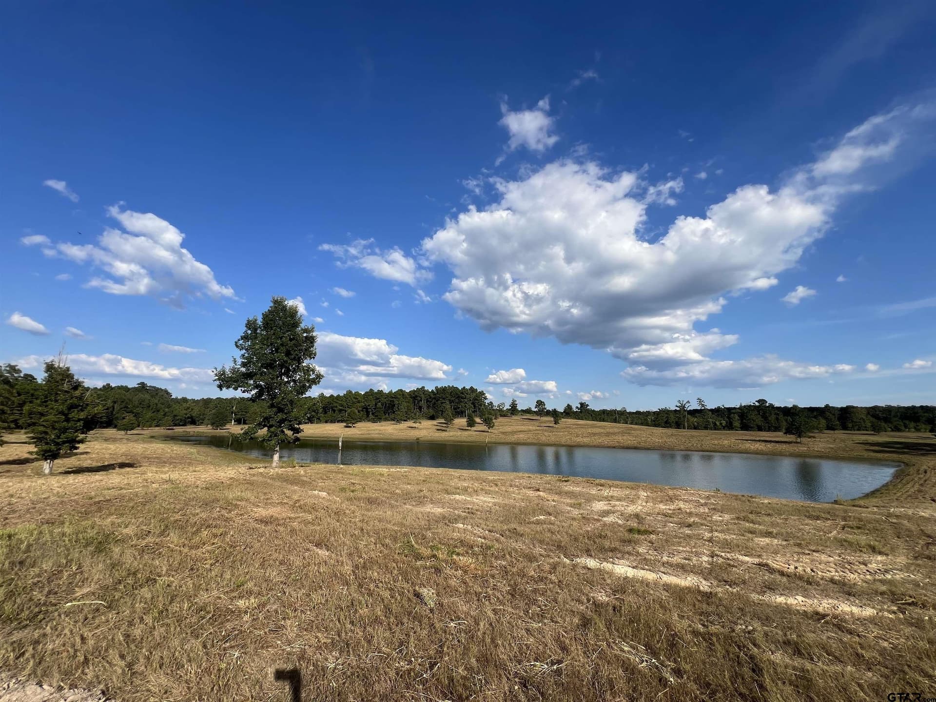 36.69 acres in Marion County - photo 3