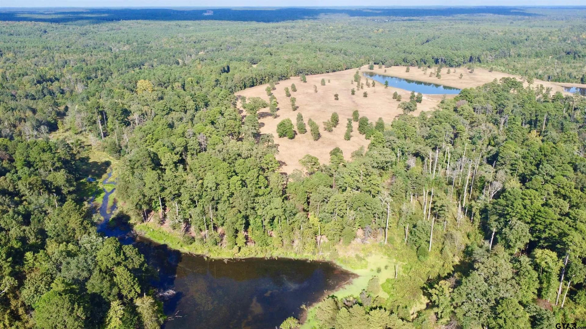 36.69 acres in Marion County - photo 4