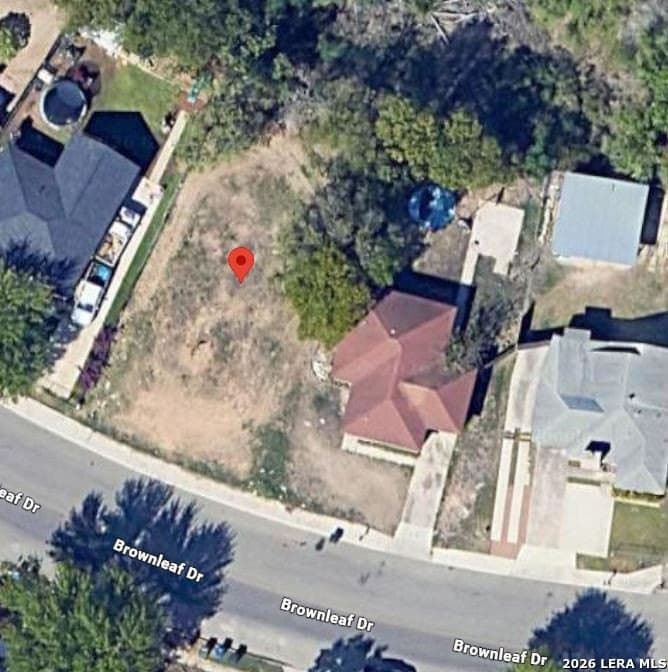 6213 brownleaf