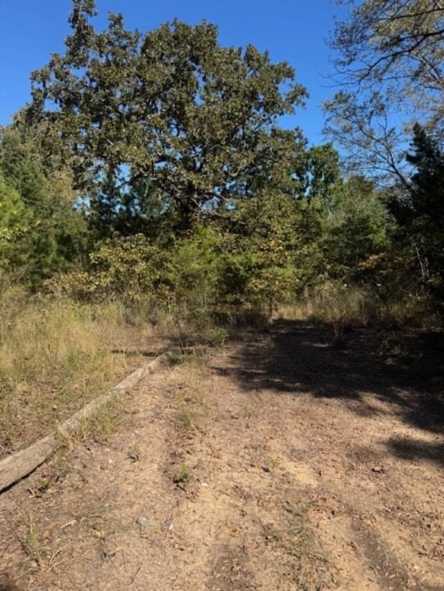 64 acres in VAN ZANDT County - photo 4