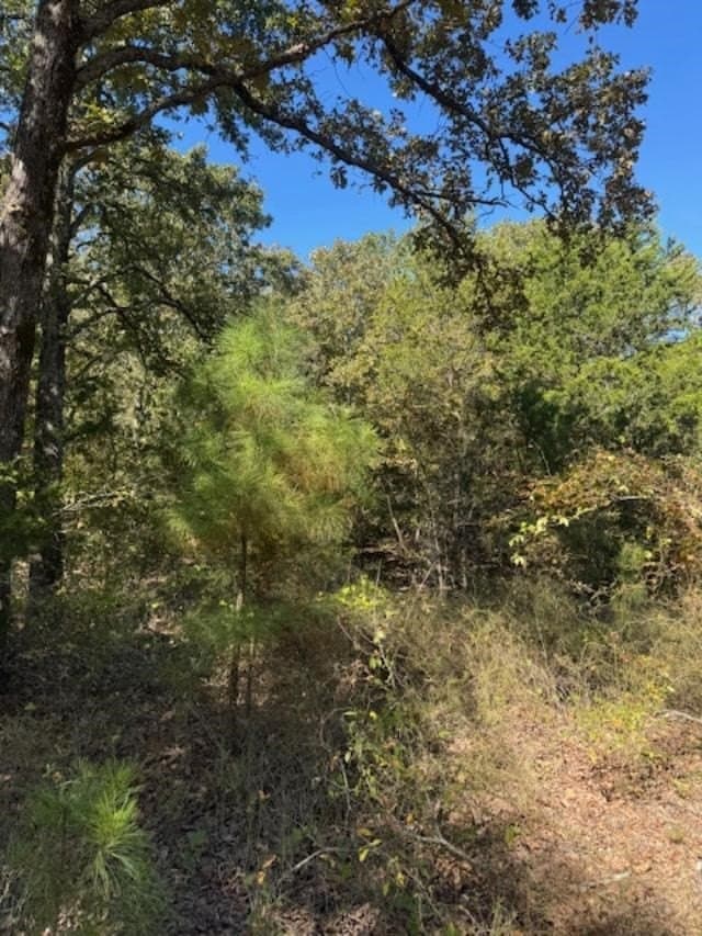 64 acres in VAN ZANDT County - photo 5