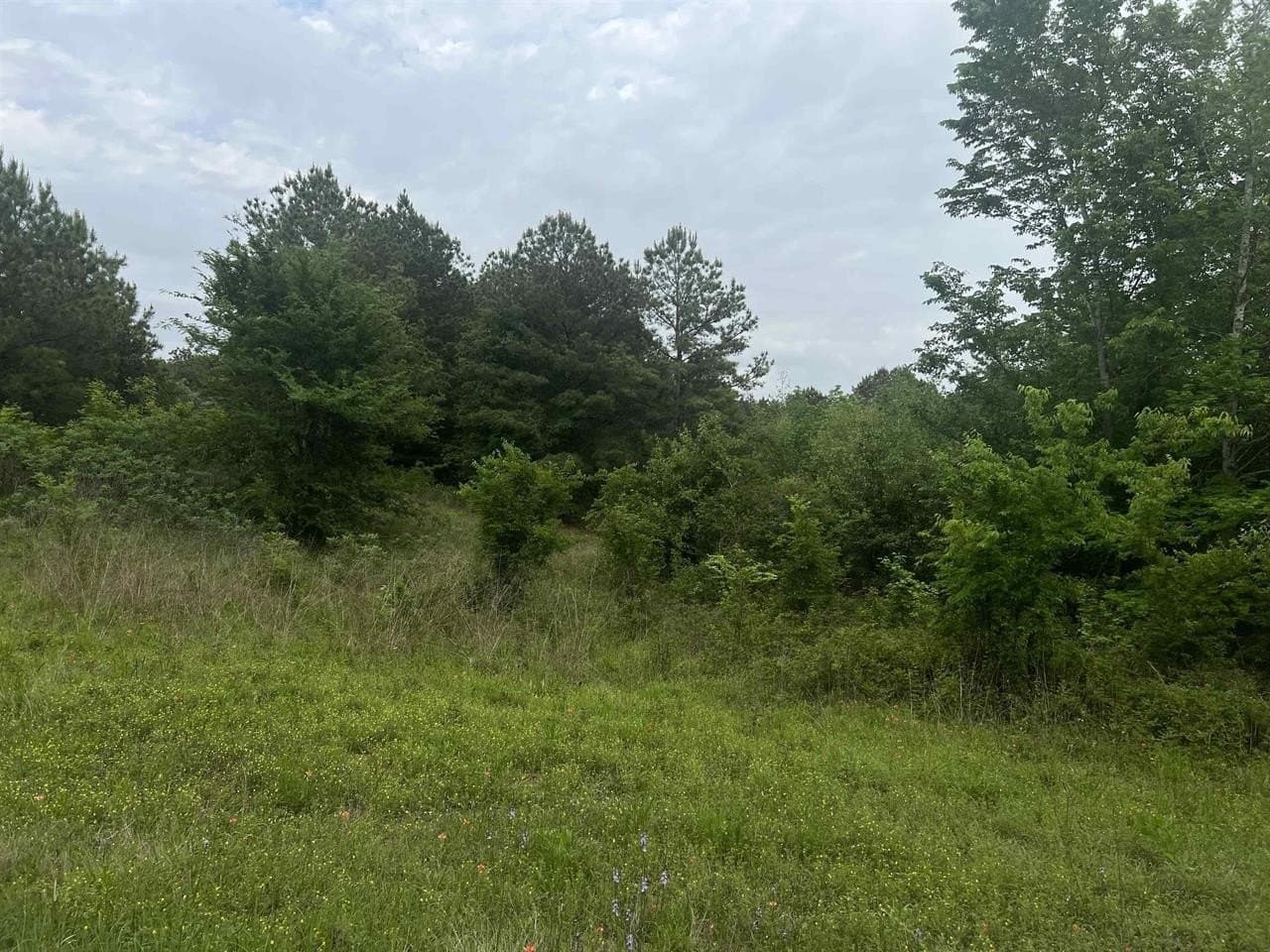 29 acres in Harrison County - photo 5