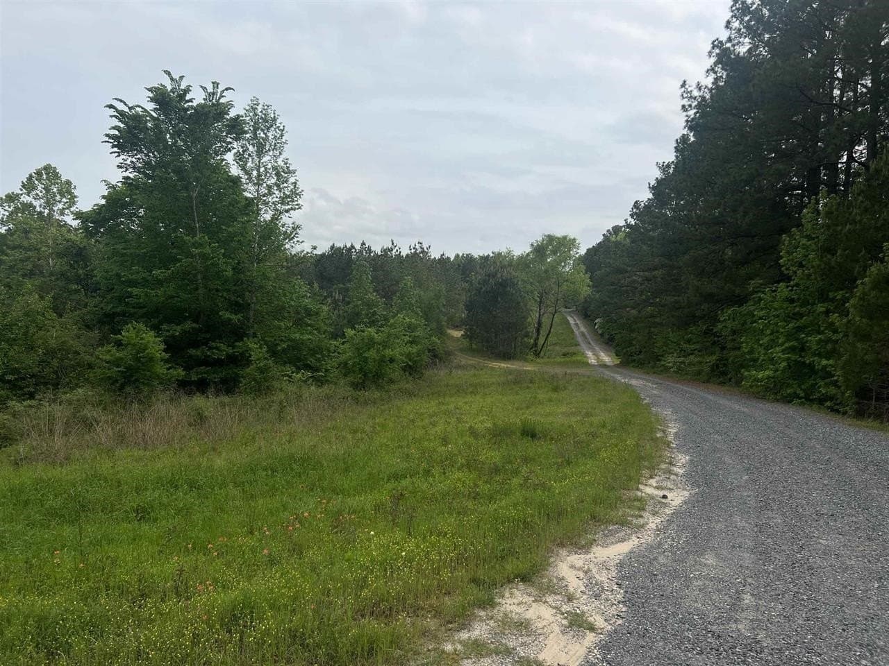 29 acres in Harrison County - photo 4