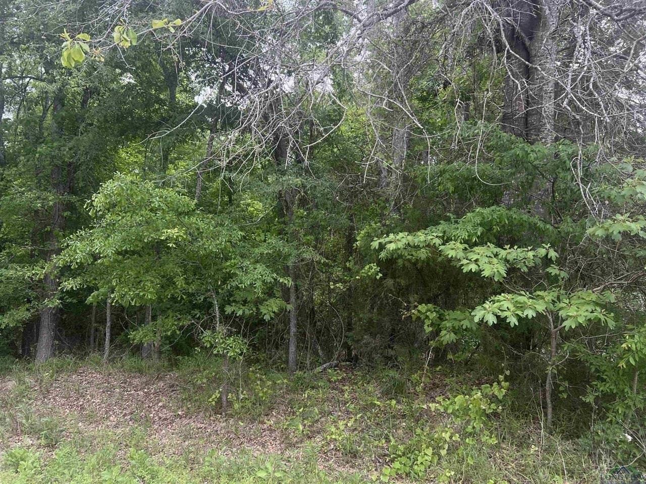 29 acres in Harrison County - photo 2