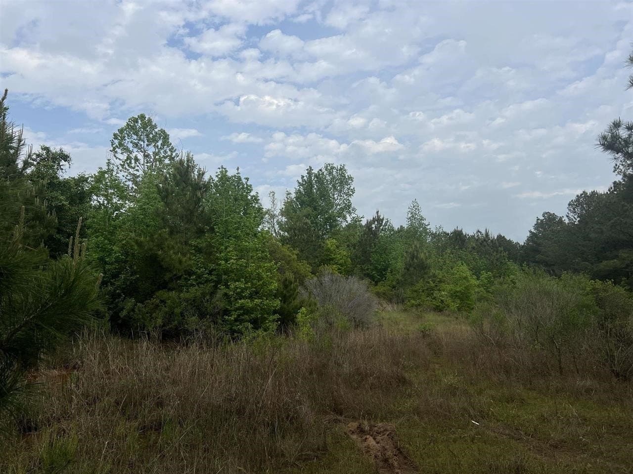 29 acres in Harrison County - photo 8