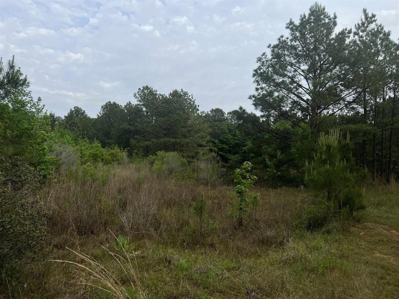 29 acres in Harrison County - photo 7