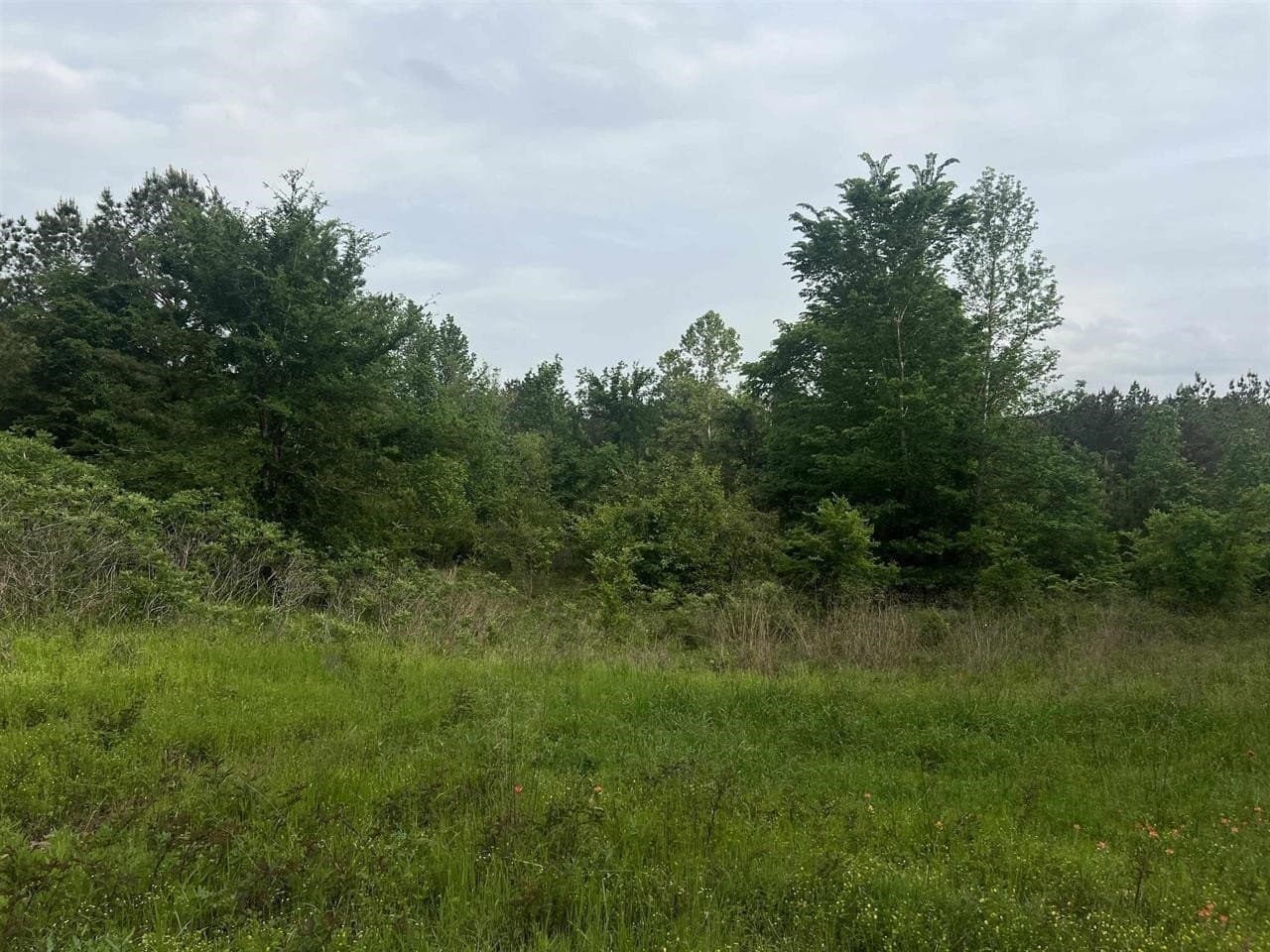 29 acres in Harrison County - photo 3