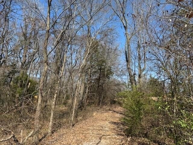 4.06 acres in Wood County - photo 7