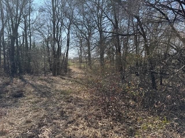 4.06 acres in Wood County - photo 9
