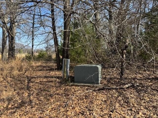 4.06 acres in Wood County - photo 11