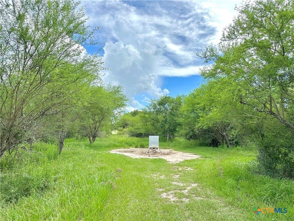 77.55 acres in Victoria County - photo 30