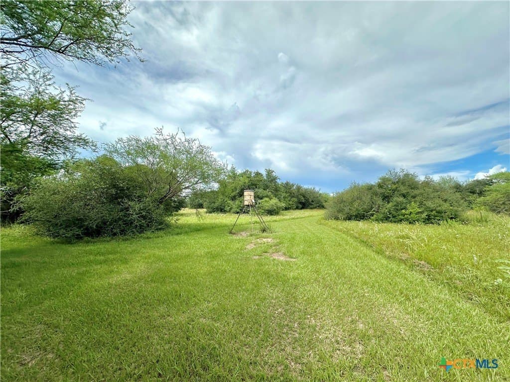 77.55 acres in Victoria County - photo 28