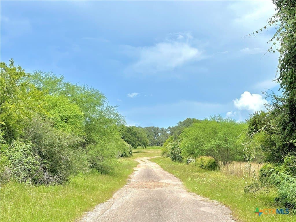 77.55 acres in Victoria County - photo 35