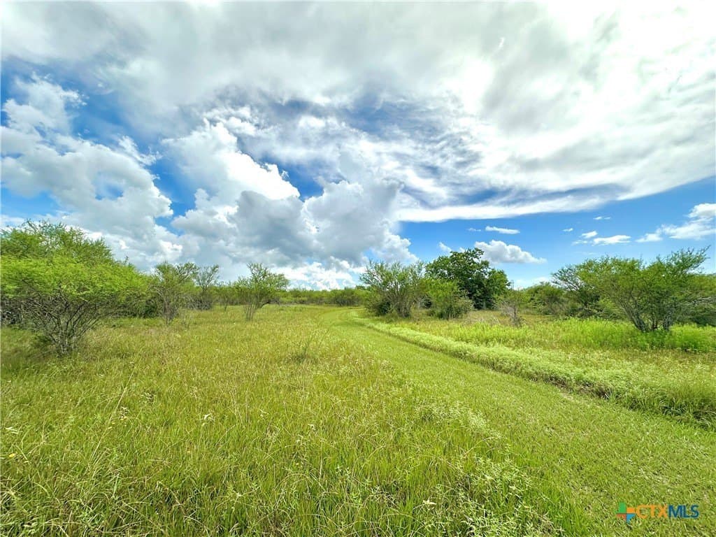 77.55 acres in Victoria County - photo 29