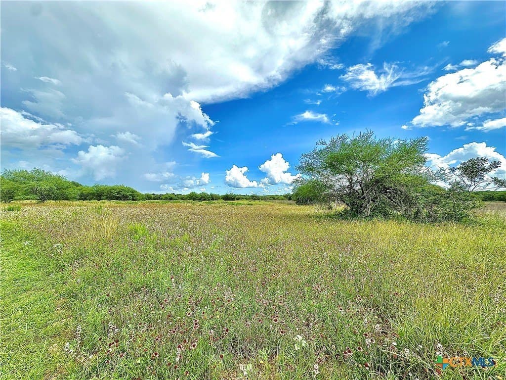 77.55 acres in Victoria County - photo 15