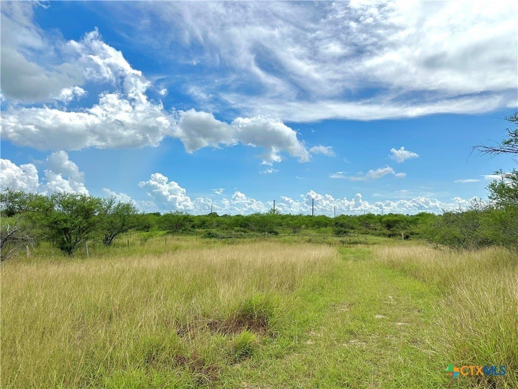 77.55 acres in Victoria County - photo 26