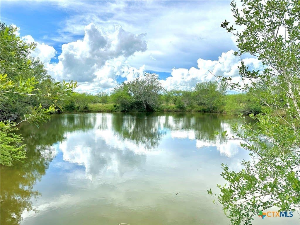 77.55 acres in Victoria County - photo 7