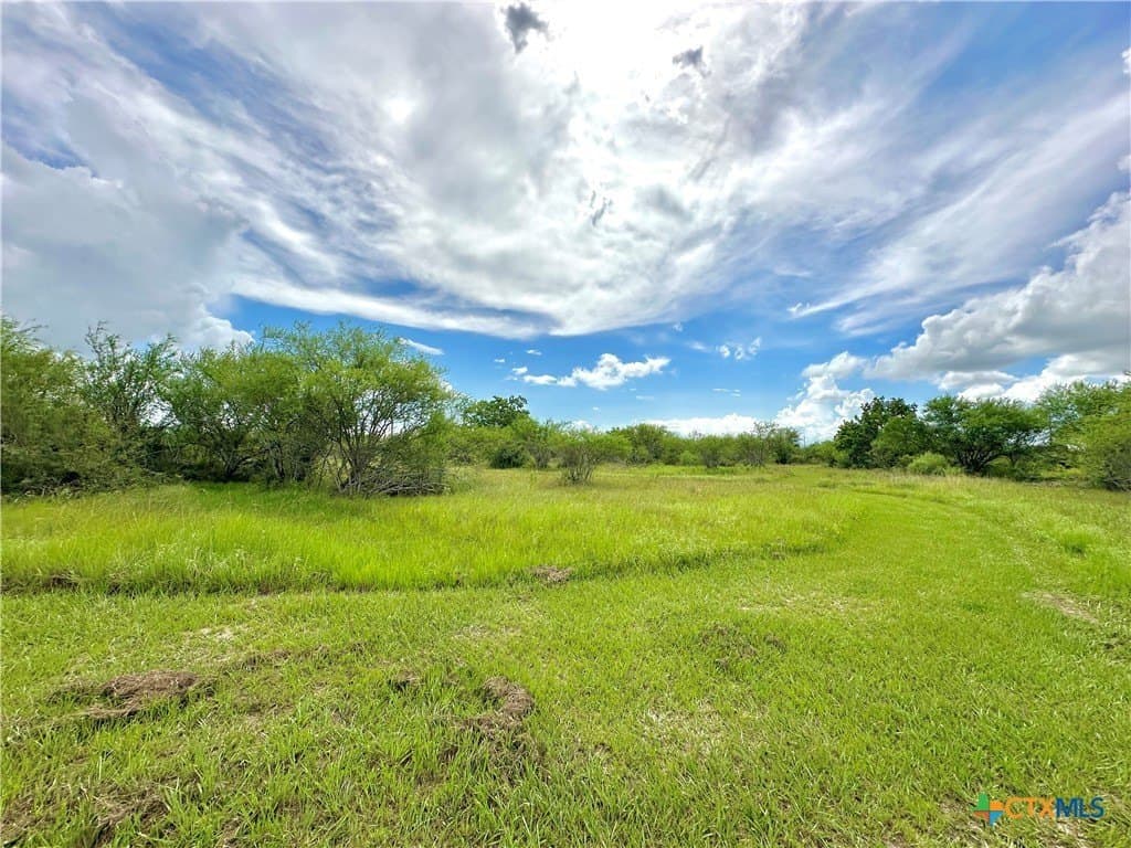 77.55 acres in Victoria County - photo 31