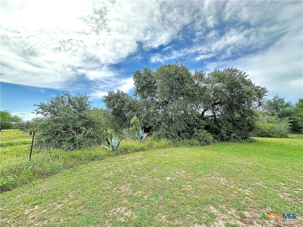 77.55 acres in Victoria County - photo 16