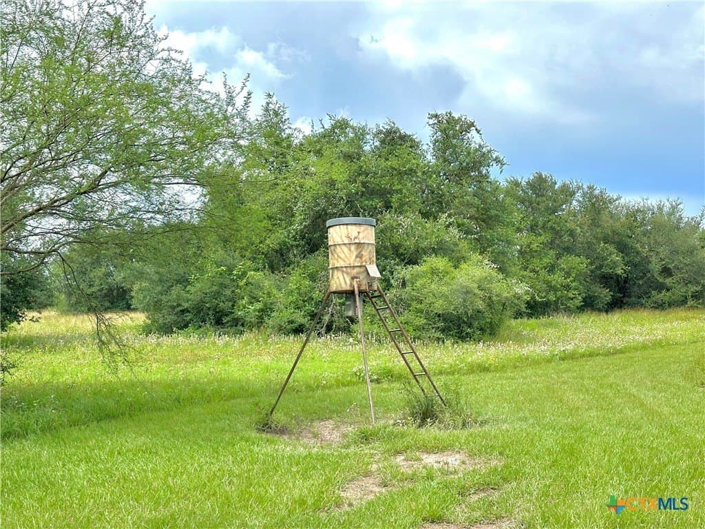 77.55 acres in Victoria County - photo 27