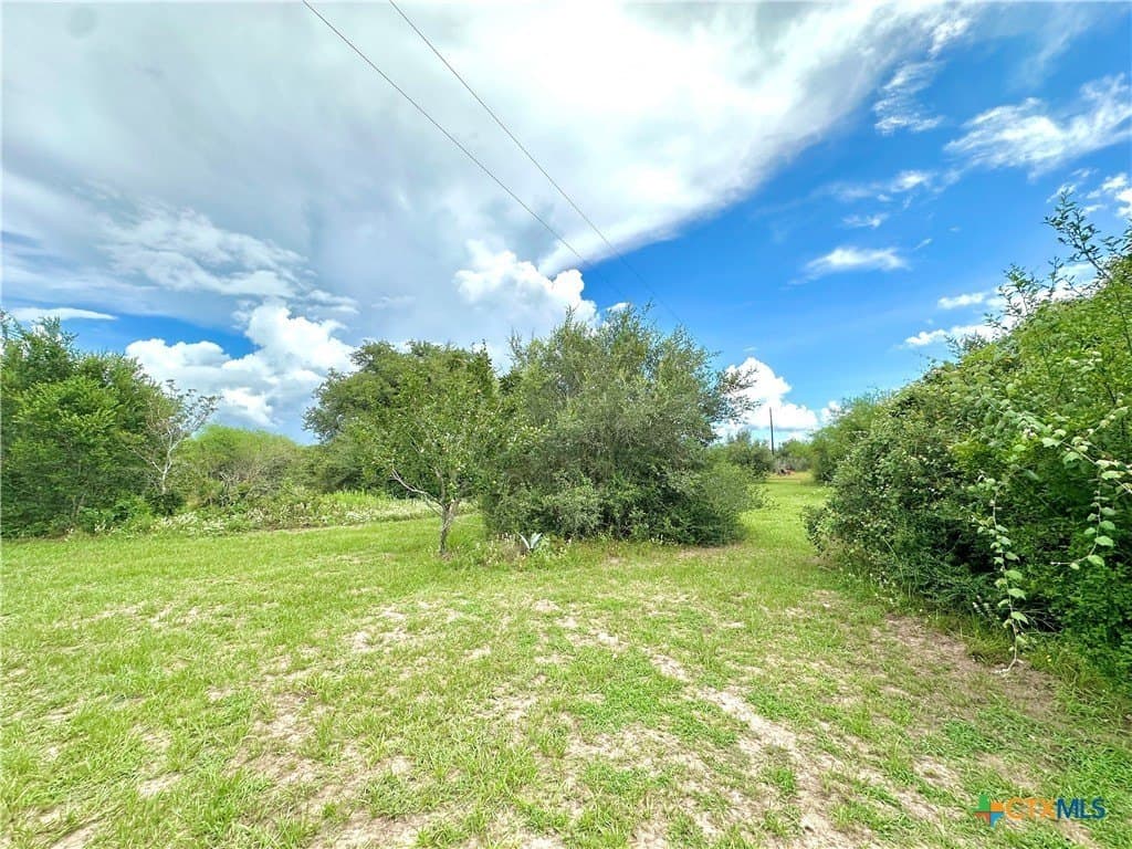 77.55 acres in Victoria County - photo 21