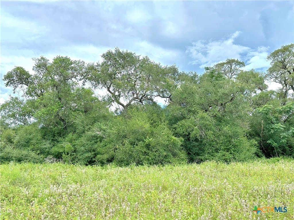 77.55 acres in Victoria County - photo 24