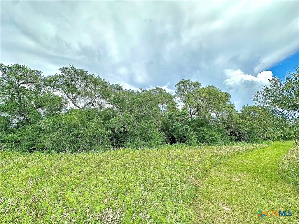 77.55 acres in Victoria County - photo 22